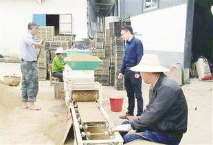 安慶日報推廣工廠化育秧軟件 助力農業現代化轉型