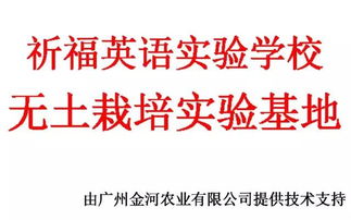 校企攜手，共繪軟件技術教育新篇章